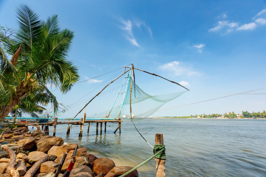 ARRIVAL IN KOCHI