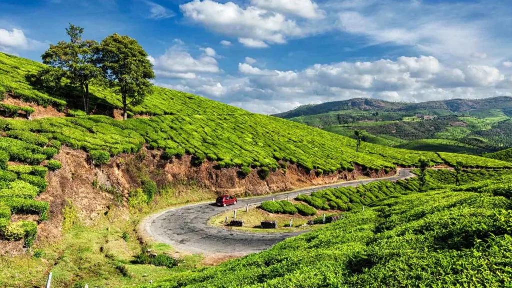 KOCHI - MUNNAR