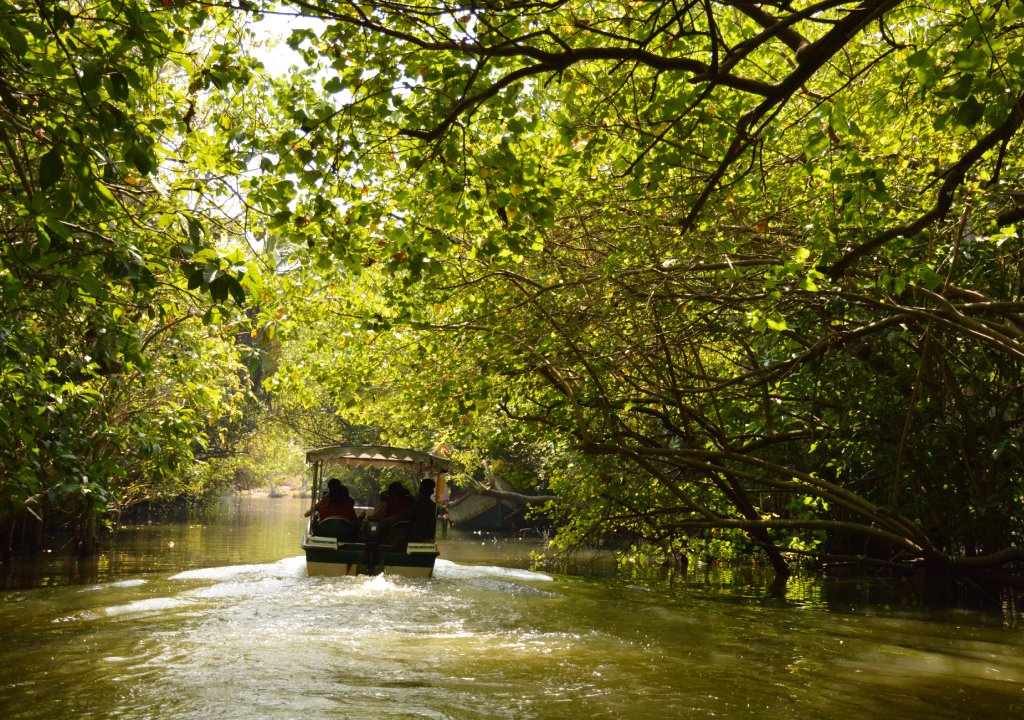 POOVAR EXCURSION