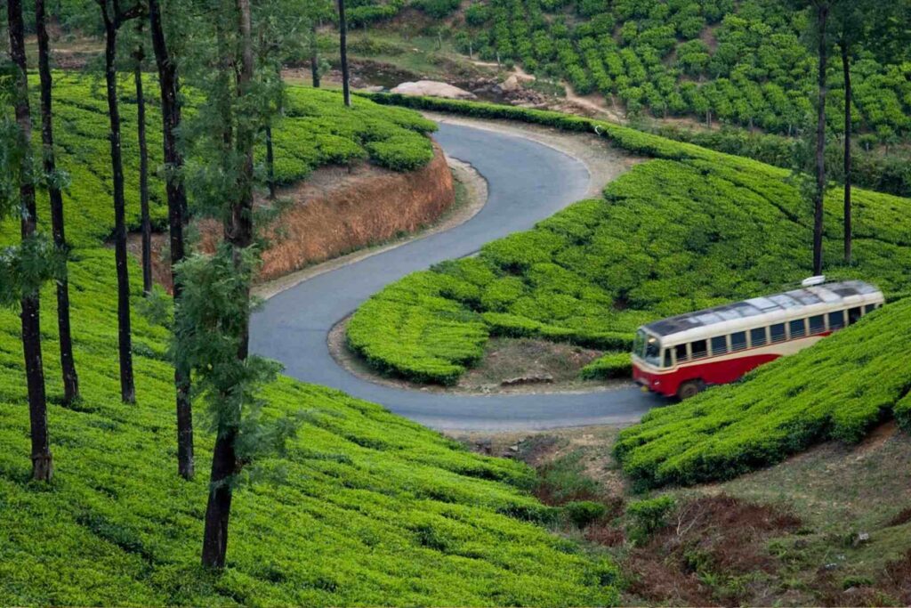 VAGAMON TO KOCHI