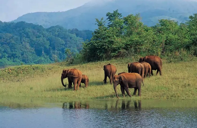 MUNNAR TO THEKKADY