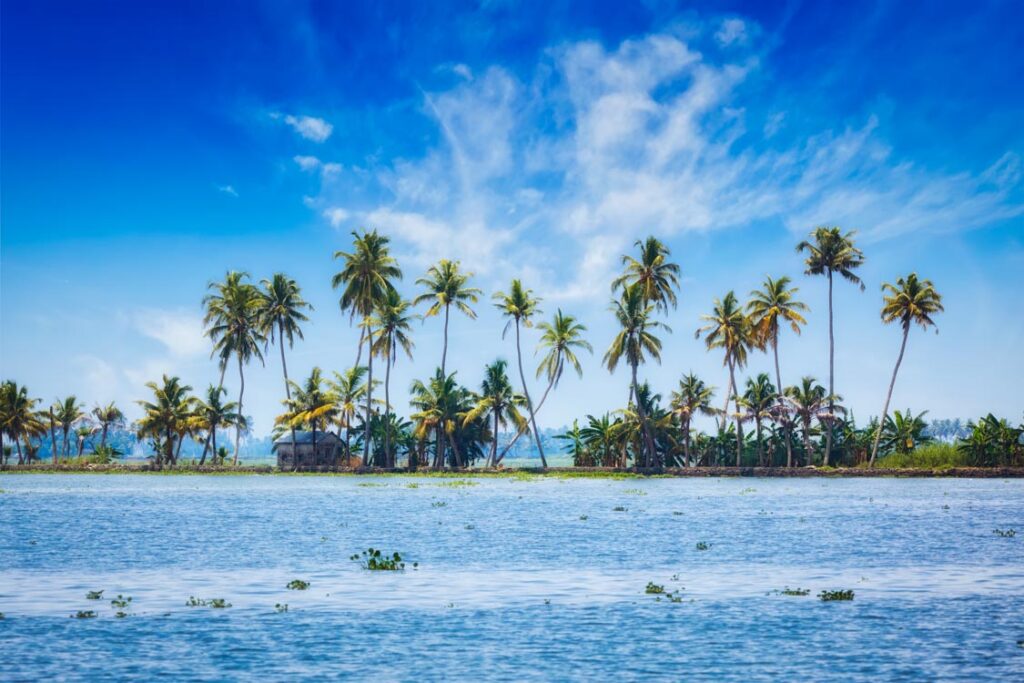 ALLEPPEY - TRIVANDRUM