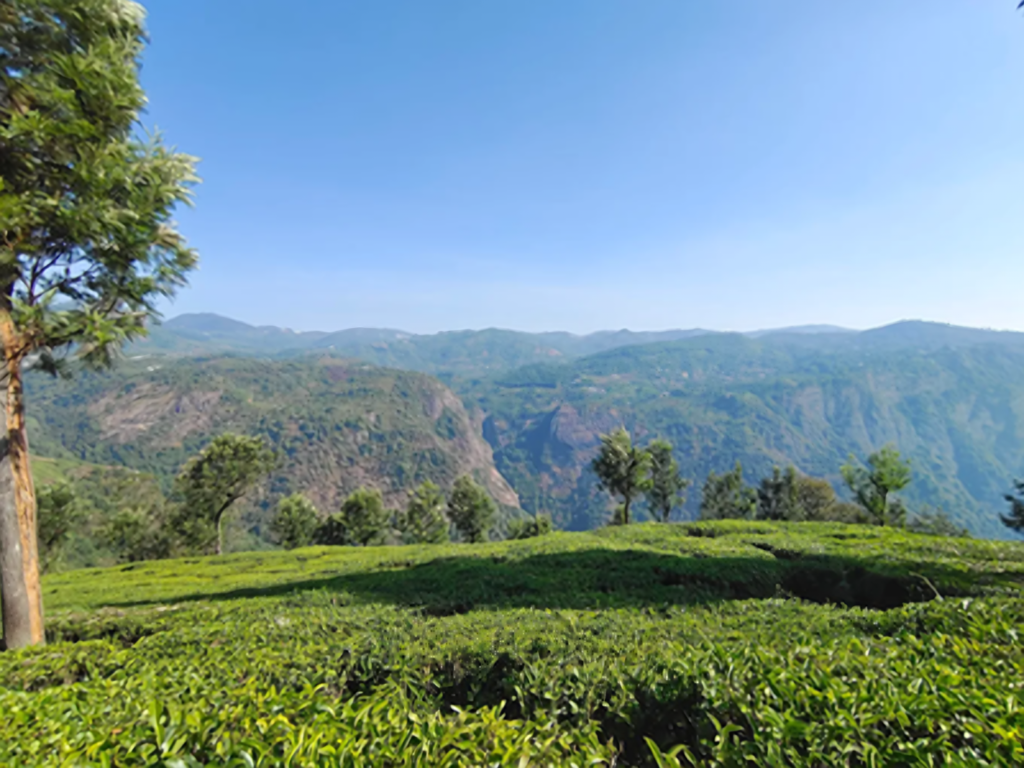 Ooty – Coonoor – Ooty